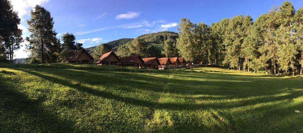 Pousada Sao Luiz - Monte Verde Hotel มงชิแวร์จิ ภายนอก รูปภาพ